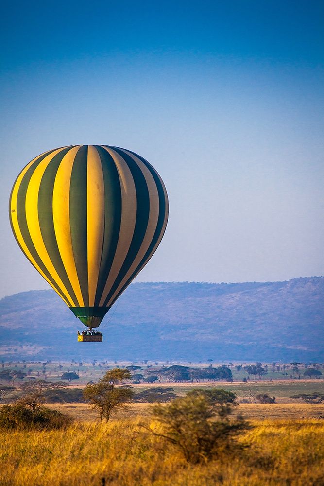 A hot-air balloon slowly traverses over the Serengeti plain art print by Larry Richardson for $57.95 CAD